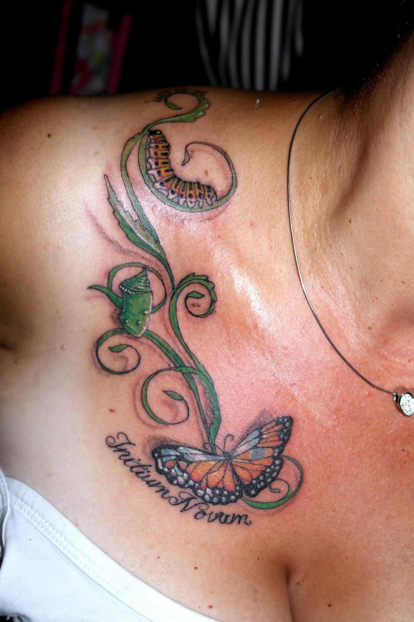 Fluturi și ornament — lucrare MAX TATTOO