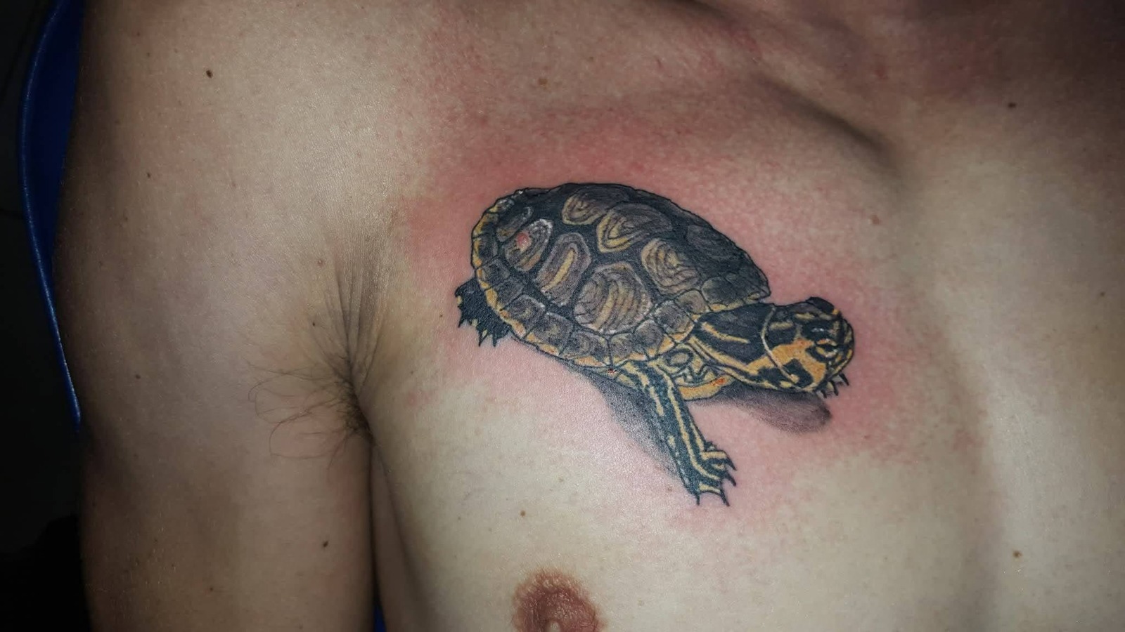 Țestoasă — detaliu — lucrare MAX TATTOO